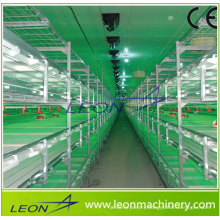 Leon Series Battery Cage System for Meat Chicken / Broiler Chicken